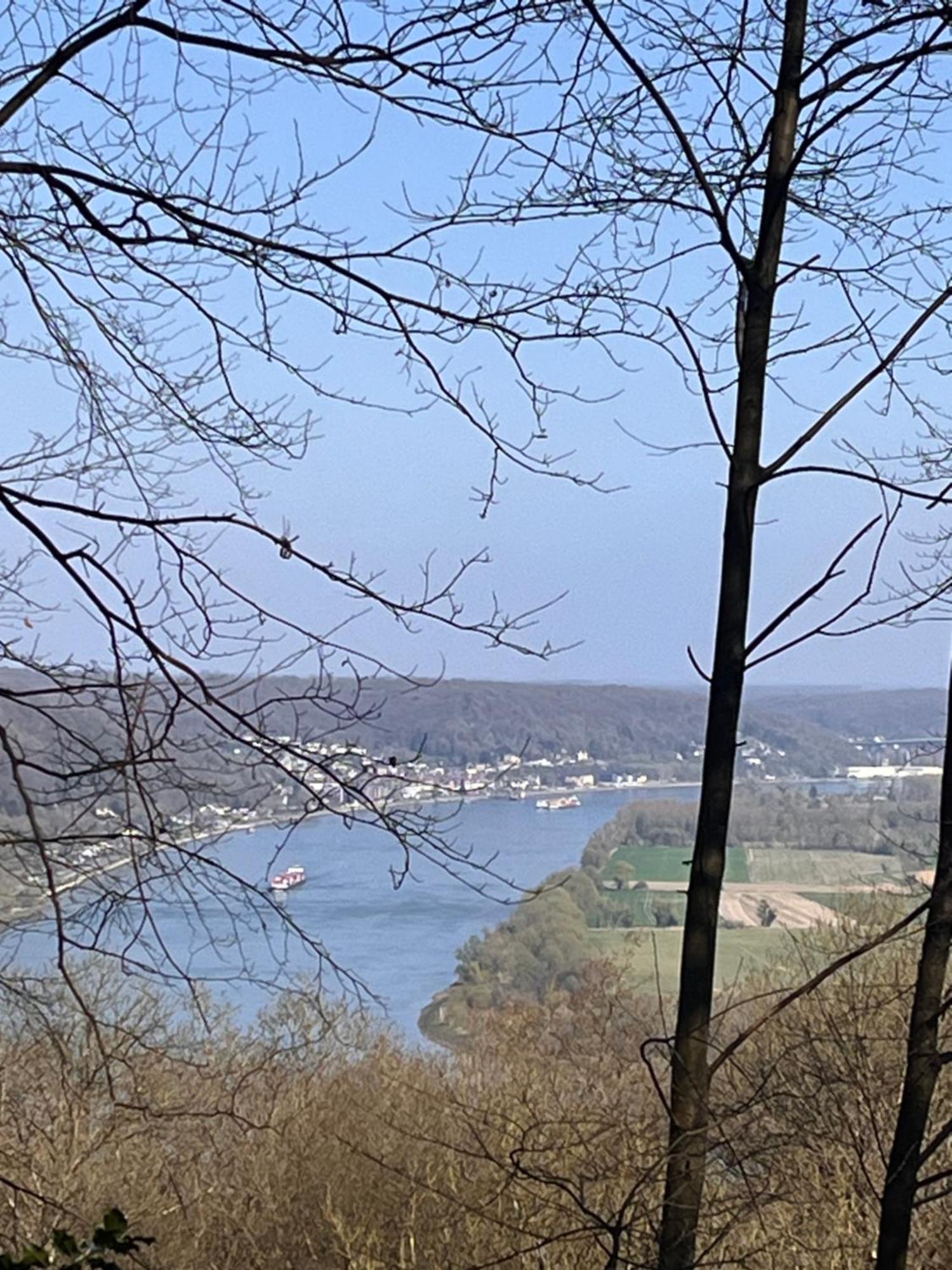 La Fleur De Seine Hébergement de vacances Villequier